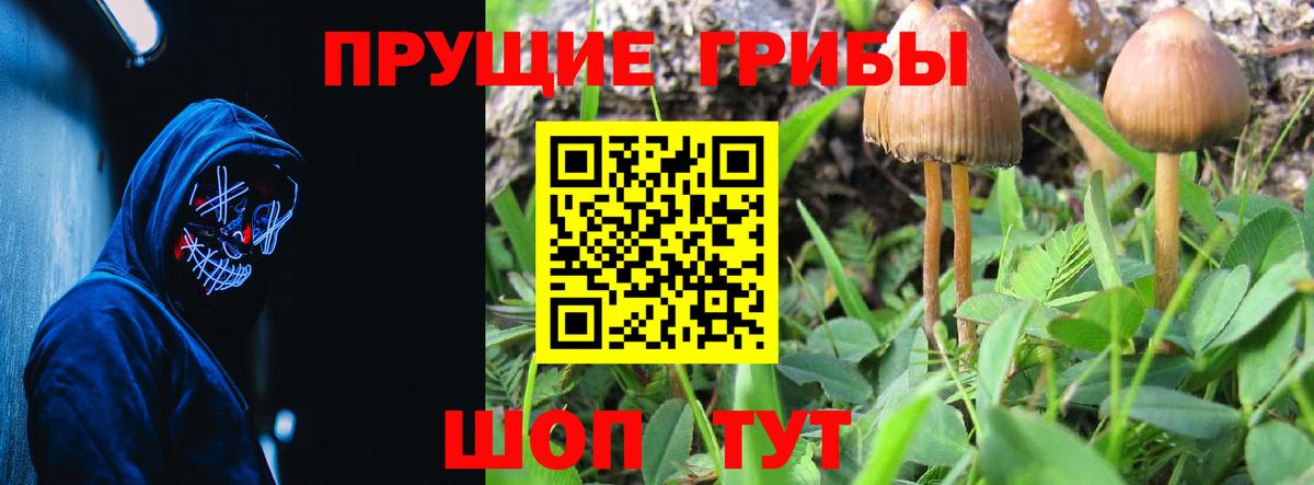 Энгельс  Галлюциногенные грибы Magic Shrooms  Вход с VPN 